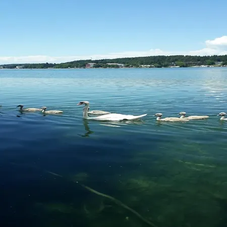 Fruehstueckspension Anna Maria 게스트하우스